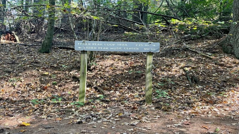 Trail Junction Sign