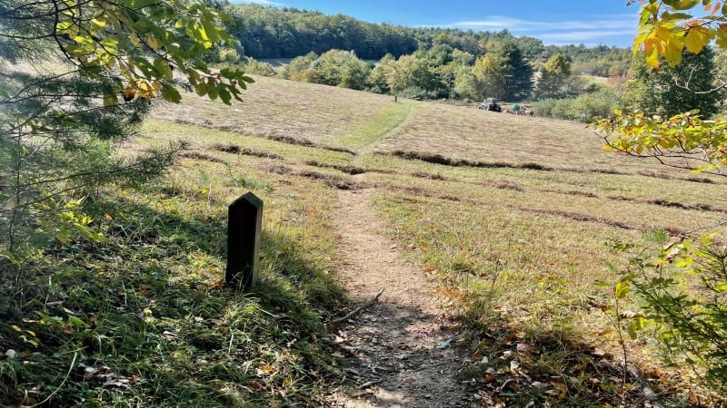 Open Meadow on High Meadow Trail