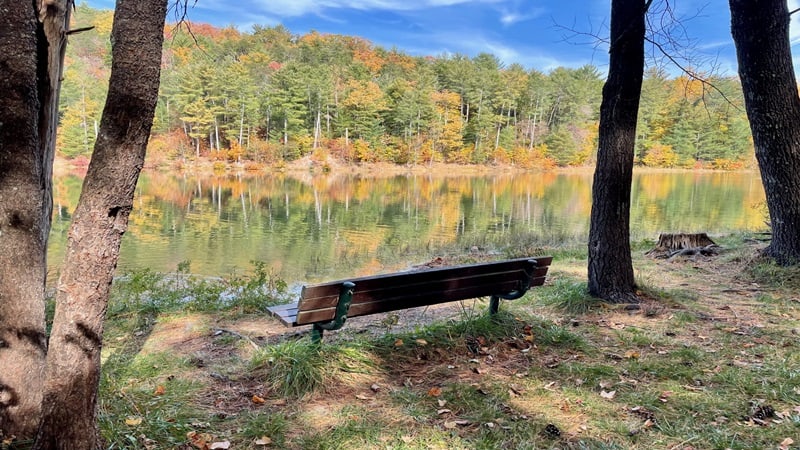 Bench on Lake Arrowhead