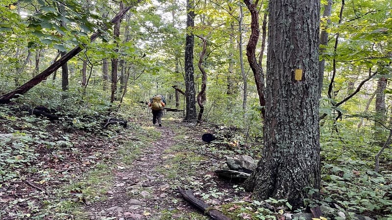 Bluff Trail at Shenandoah National Park