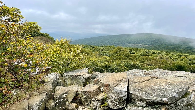 Foggy Views at Mount Marshall