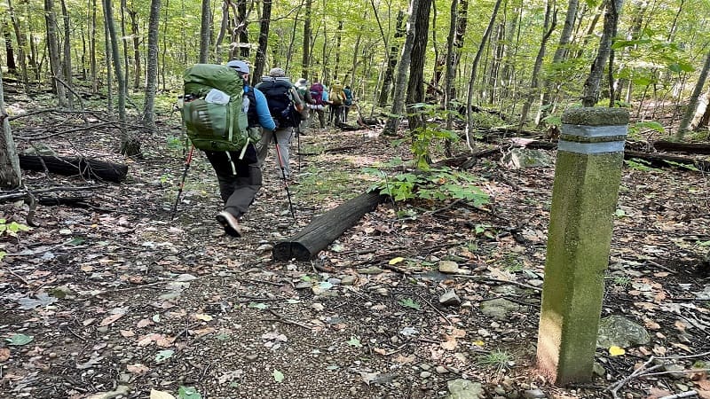 Mount Marshal Trail