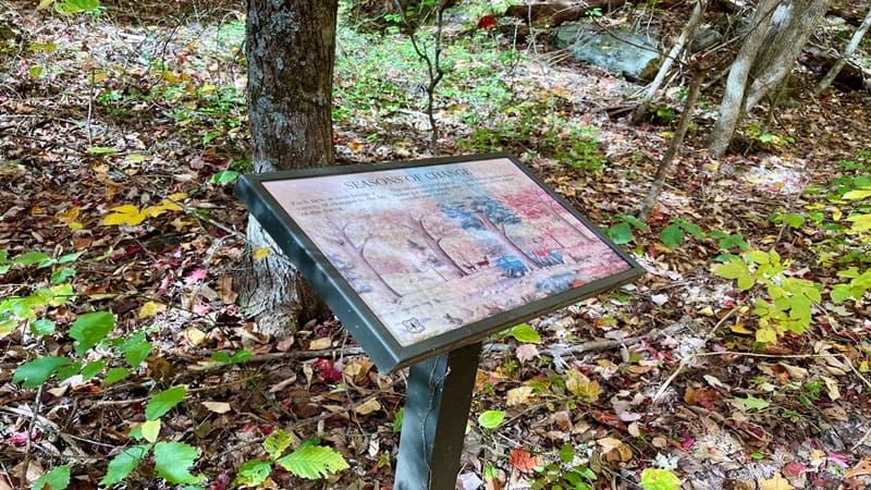 Placard on Wildflower Trail