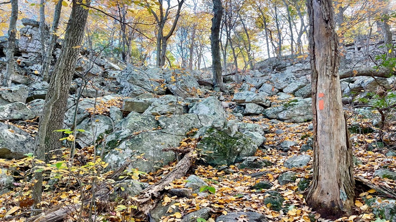 Rock Scrambles on Massanutten Trail