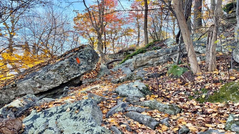 Rock Scramble on the Massanutten Trail