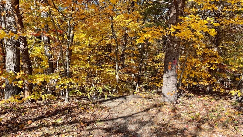 Massanutten Trail Trailhead