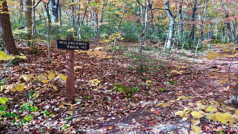 Wildflower Trail Sign