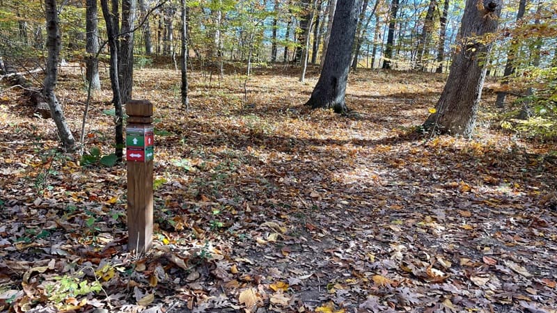 Four Way Trail Junction at James Long Park