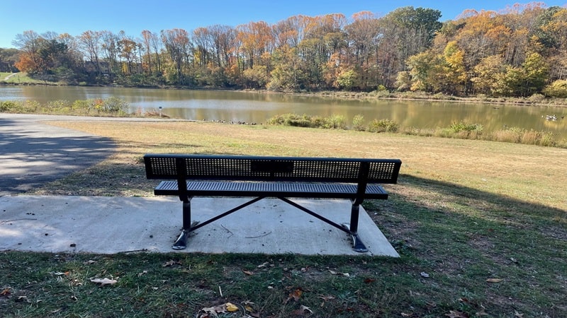 Bench at Lake Royal