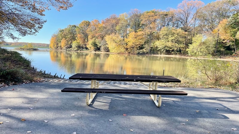 Picnic Table at Lake Royal