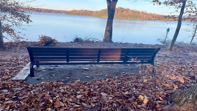 Bench on North Shore Trail