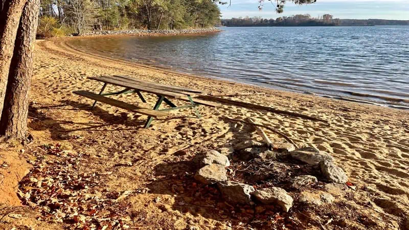 Picnic Table on South Shore Trail