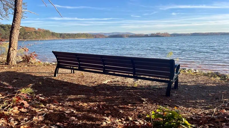 Bench on South Shore Trail