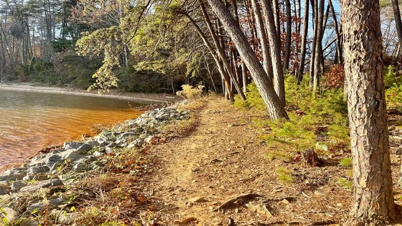 South Shore Trail at Smith Mountain Lake Community Park