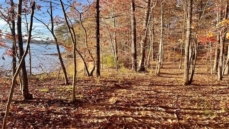 South Shore Trail at Smith Mountain Lake Community Park