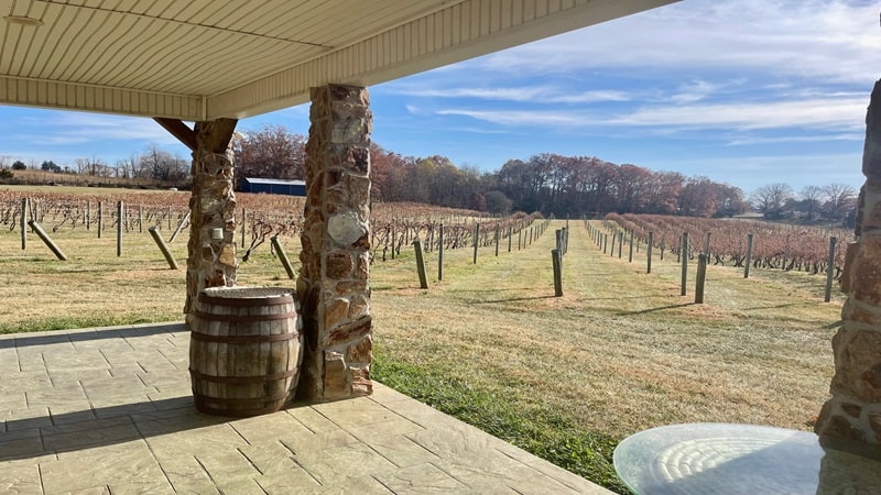Ramulose Ridge Vineyards in Bedford County, Virginia