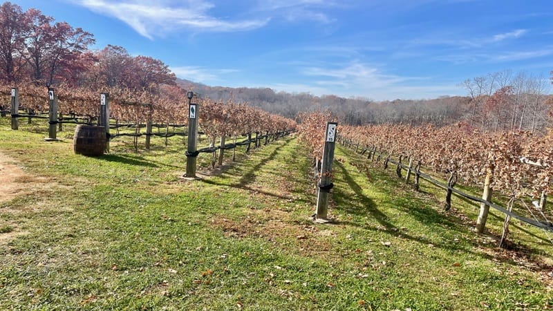 Feathers & Fables Vineyard in Bedford County, Virginia