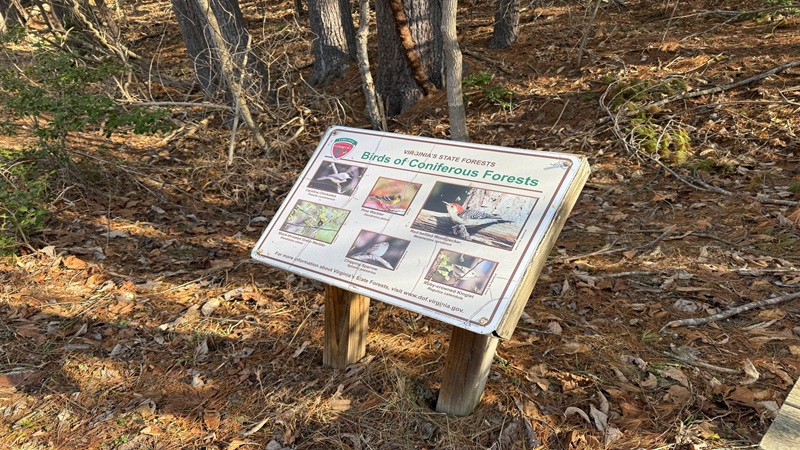 Birds of Coniferous Forest Sign at Matthews State Forest