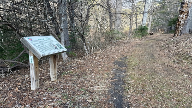 Hiking Trail at Matthews State Forest