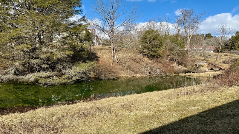 Small Pond at Matthews State Forest
