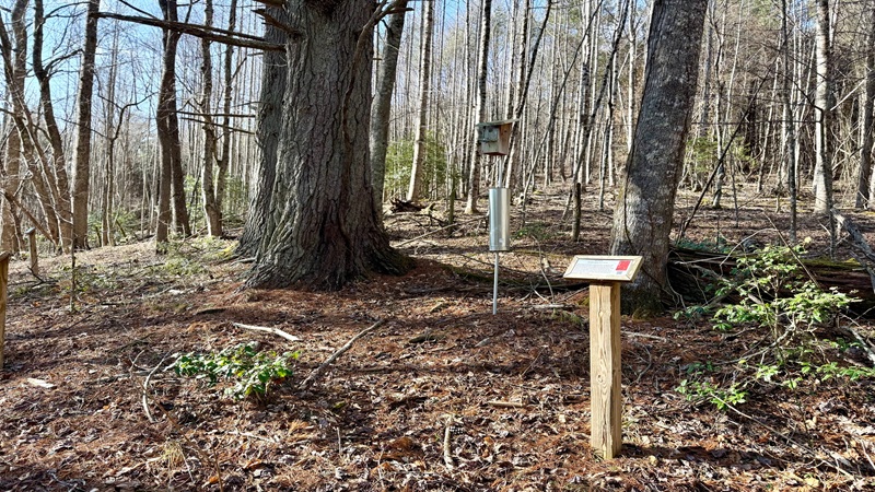 Hiking Trail at Matthews State Forest
