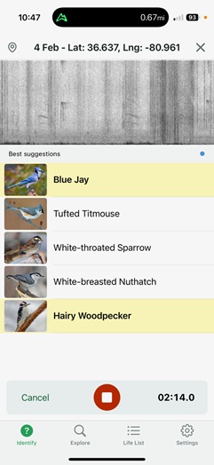 Merlin App for Birdwatching